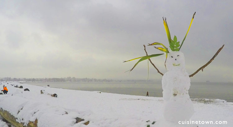 Vancouver Snow