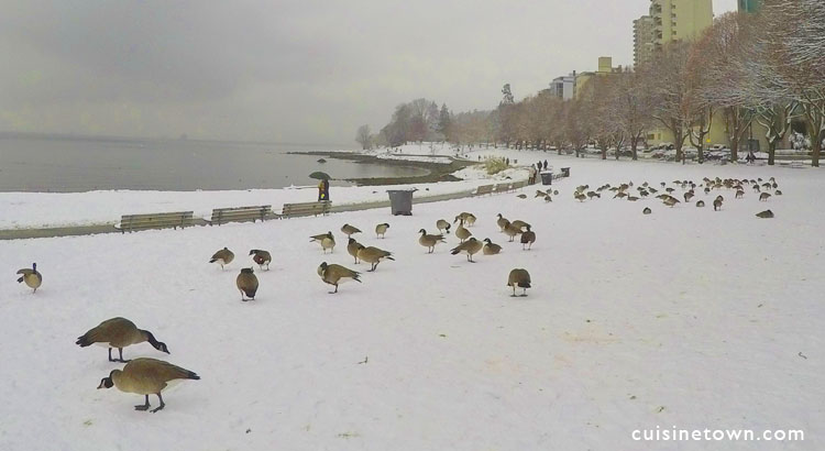 Vancouver Snow