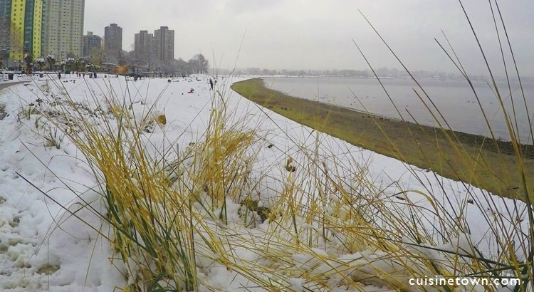 Vancouver Snow