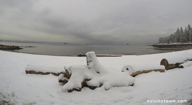 Vancouver Snow